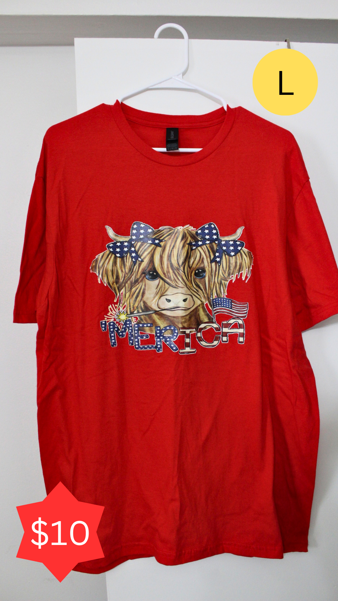 Large T-shirt CLEARANCE