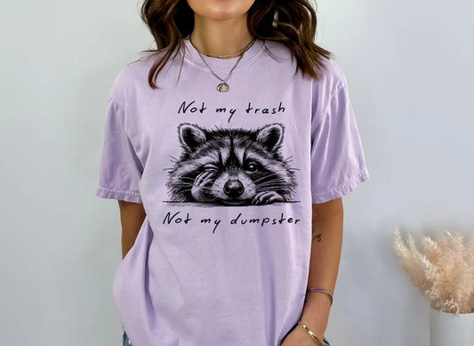 Not My Trash Not My Dumpster